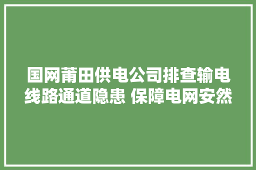 国网莆田供电公司排查输电线路通道隐患 保障电网安然运行