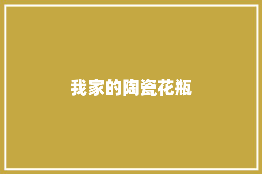 我家的陶瓷花瓶