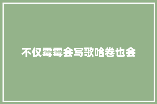 不仅霉霉会写歌哈卷也会