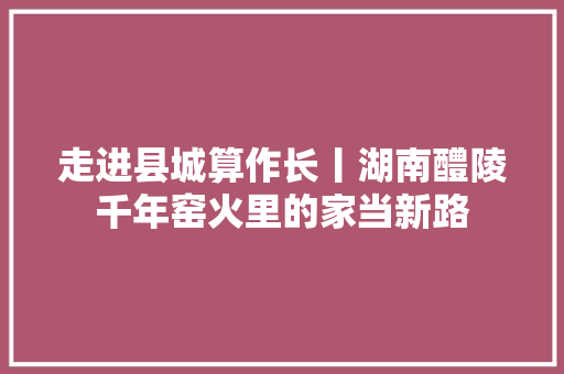 走进县城算作长丨湖南醴陵千年窑火里的家当新路