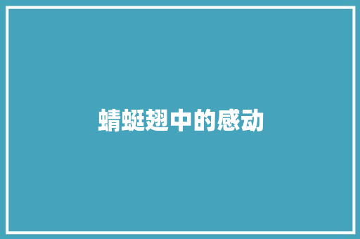 蜻蜓翅中的感动