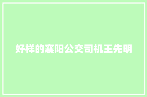 好样的襄阳公交司机王先明
