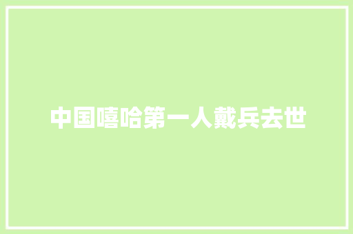 中国嘻哈第一人戴兵去世