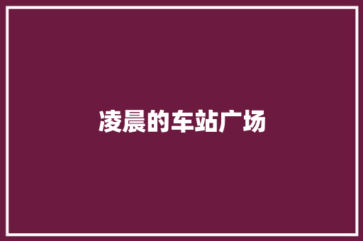 凌晨的车站广场
