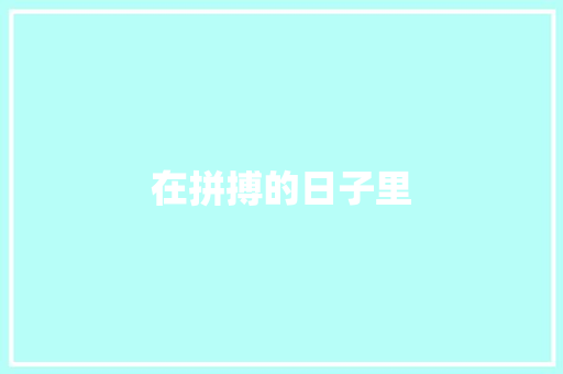 在拼搏的日子里