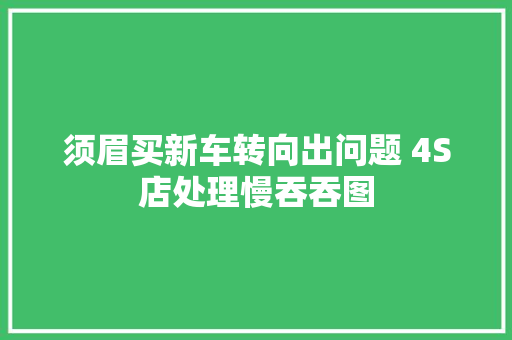 须眉买新车转向出问题 4S店处理慢吞吞图