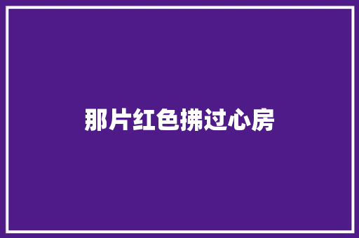 那片红色拂过心房
