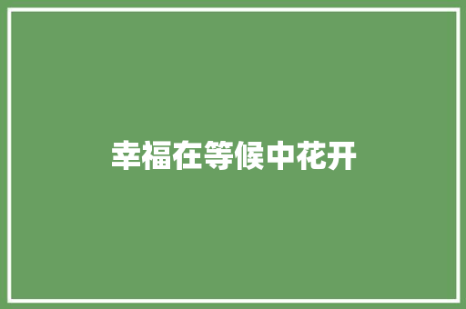 幸福在等候中花开