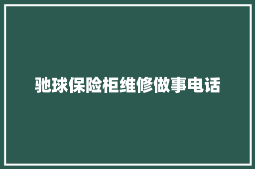 驰球保险柜维修做事电话