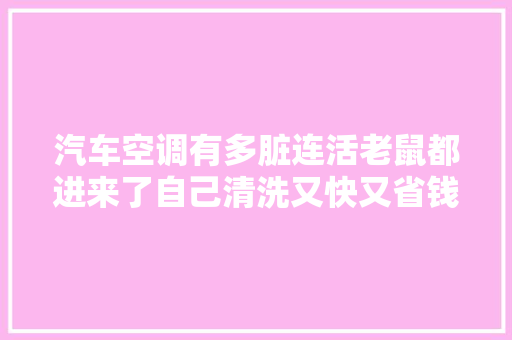 汽车空调有多脏连活老鼠都进来了自己清洗又快又省钱学起来