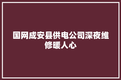 国网成安县供电公司深夜维修暖人心