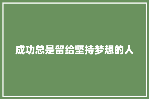 成功总是留给坚持梦想的人
