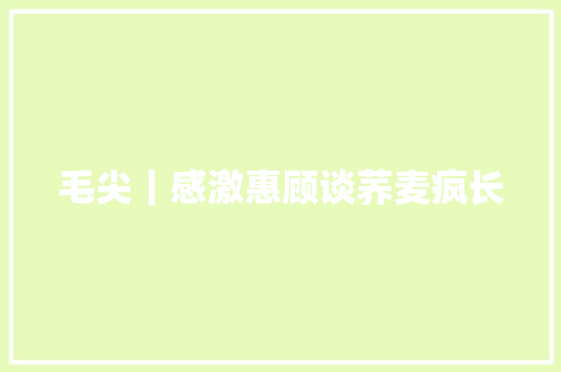 毛尖｜感激惠顾谈荞麦疯长
