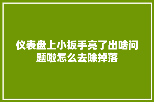 仪表盘上小扳手亮了出啥问题啦怎么去除掉落