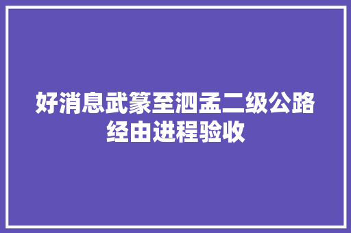 好消息武篆至泗孟二级公路经由进程验收