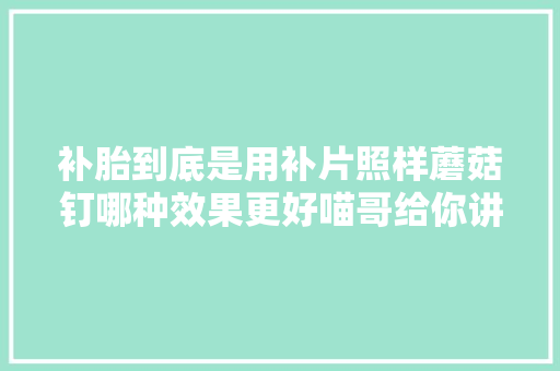 补胎到底是用补片照样蘑菇钉哪种效果更好喵哥给你讲清楚