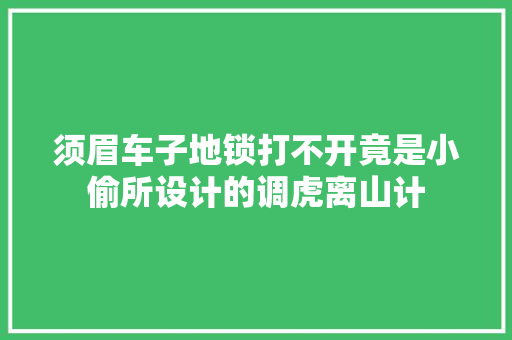 须眉车子地锁打不开竟是小偷所设计的调虎离山计