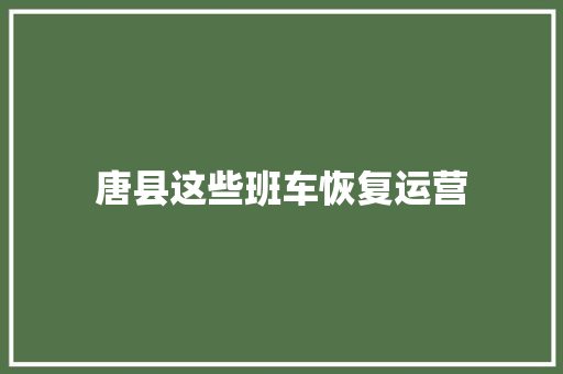 唐县这些班车恢复运营