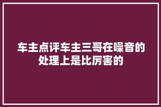 车主点评车主三哥在噪音的处理上是比厉害的