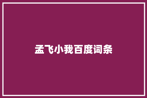 孟飞小我百度词条