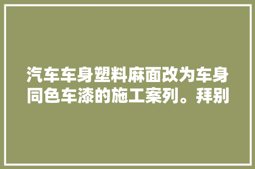 汽车车身塑料麻面改为车身同色车漆的施工案列。拜别显脏