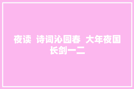 夜读  诗词沁园春  大年夜国长剑一二 休闲娱乐