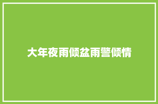 大年夜雨倾盆雨警倾情