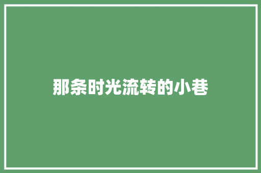 那条时光流转的小巷