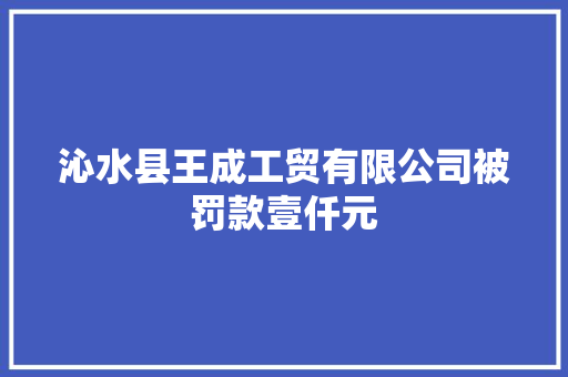 沁水县王成工贸有限公司被罚款壹仟元