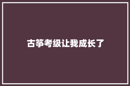 古筝考级让我成长了