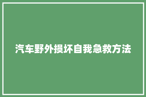 汽车野外损坏自我急救方法