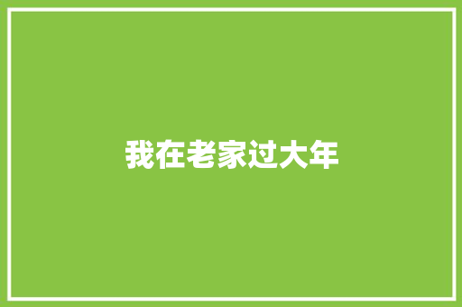 我在老家过大年
