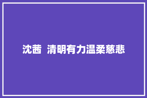 沈茜  清明有力温柔慈悲