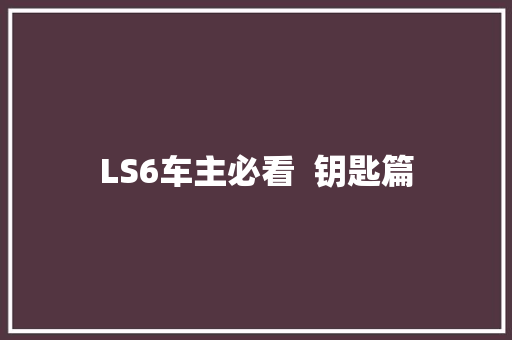 LS6车主必看  钥匙篇