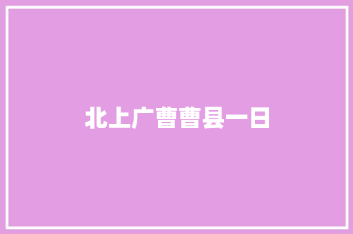 北上广曹曹县一日