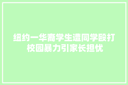 纽约一华裔学生遭同学殴打 校园暴力引家长担忧