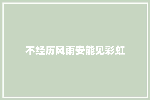 不经历风雨安能见彩虹