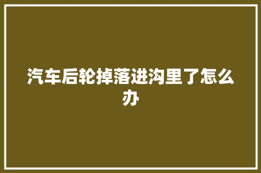 汽车后轮掉落进沟里了怎么办