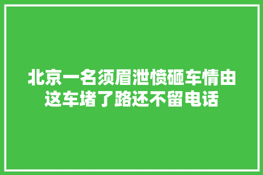 北京一名须眉泄愤砸车情由这车堵了路还不留电话