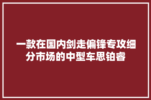 一款在国内剑走偏锋专攻细分市场的中型车思铂睿