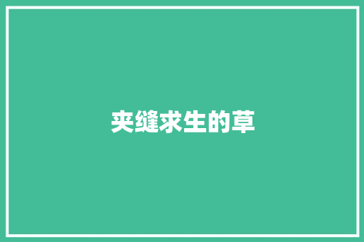 夹缝求生的草