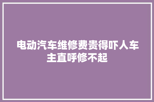 电动汽车维修费贵得吓人车主直呼修不起