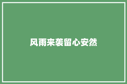 风雨来袭留心安然