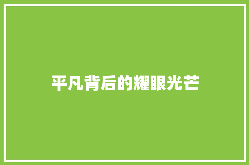 平凡背后的耀眼光芒