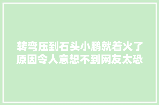 转弯压到石头小鹏就着火了原因令人意想不到网友太恐惧