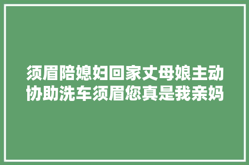 须眉陪媳妇回家丈母娘主动协助洗车须眉您真是我亲妈啊