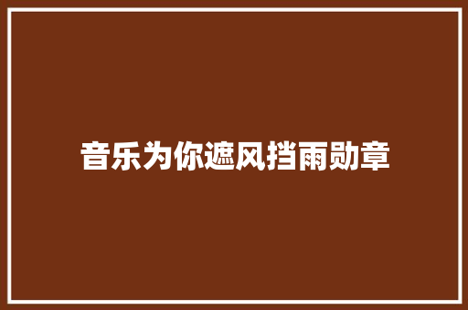 音乐为你遮风挡雨勋章