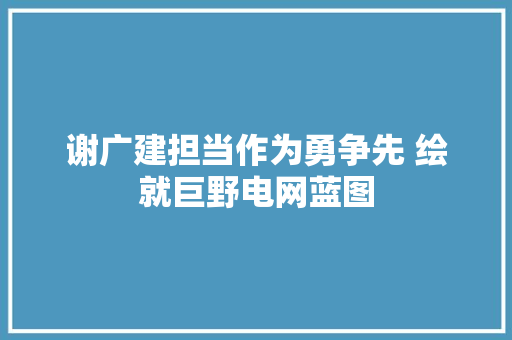 谢广建担当作为勇争先 绘就巨野电网蓝图