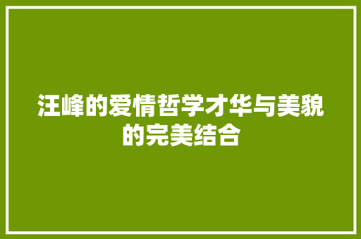 汪峰的爱情哲学才华与美貌的完美结合