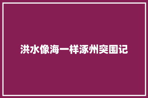 洪水像海一样涿州突围记